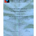 Powiększ obraz: certificate 1