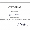 Powiększ obraz: certificate 1