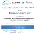 Powiększ obraz: certificate 11