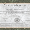 Powiększ obraz: certificate 21