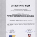 Powiększ obraz: certificate 7