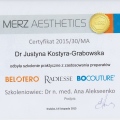Powiększ obraz: certificate 9