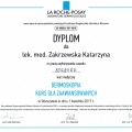 Powiększ obraz: certificate 15