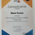 Powiększ obraz: certificate 11