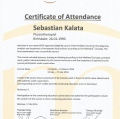 Powiększ obraz: certificate 6