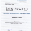 Powiększ obraz: certificate 2