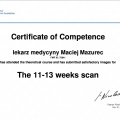 Powiększ obraz: certificate 7