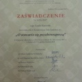 Powiększ obraz: certificate 2