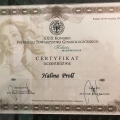 Powiększ obraz: certificate 7