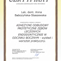 Powiększ obraz: certificate 2
