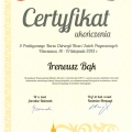 Powiększ obraz: certificate 2