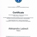 Powiększ obraz: certificate 9