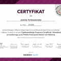 Powiększ obraz: certificate 1