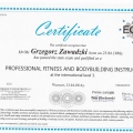 Powiększ obraz: certificate 15