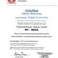 Powiększ obraz: certificate 9