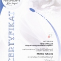 Powiększ obraz: certificate 7