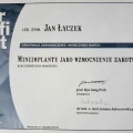Powiększ obraz: certificate 11