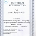 Powiększ obraz: certificate 9