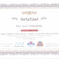 Powiększ obraz: certificate 8