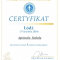 Powiększ obraz: certificate 16
