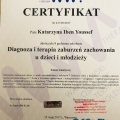 Powiększ obraz: certificate 4