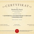 Powiększ obraz: certificate 7