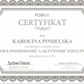 Powiększ obraz: certificate 15