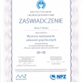 Powiększ obraz: certificate 13