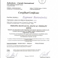 Powiększ obraz: certificate 26