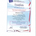 Powiększ obraz: certificate 9