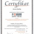 Powiększ obraz: certificate 17
