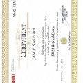 Powiększ obraz: certificate 4