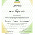 Powiększ obraz: certificate 19