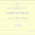 Powiększ obraz: certificate 8