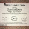 Powiększ obraz: certificate 6