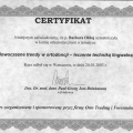 Powiększ obraz: certificate 12