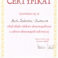 Powiększ obraz: certificate 1
