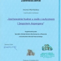 Powiększ obraz: certificate 8