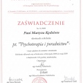 Powiększ obraz: certificate 14