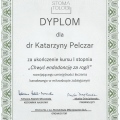 Powiększ obraz: certificate 2