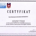 Powiększ obraz: certificate 24