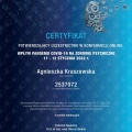 Powiększ obraz: certificate 11