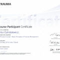 Powiększ obraz: certificate 4
