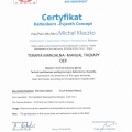 Powiększ obraz: certificate 20