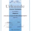 Powiększ obraz: certificate 6