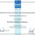 Powiększ obraz: certificate 38