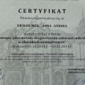 Powiększ obraz: certificate 1