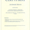 Powiększ obraz: certificate 6