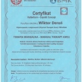 Powiększ obraz: certificate 11