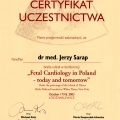 Powiększ obraz: certificate 3